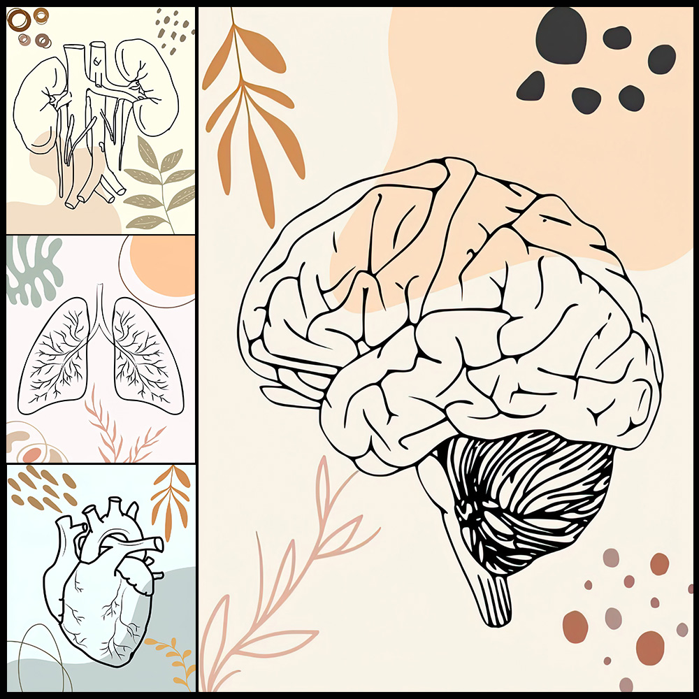 Science Nursery - Анатомия человека, наука, мозг, детская биология,